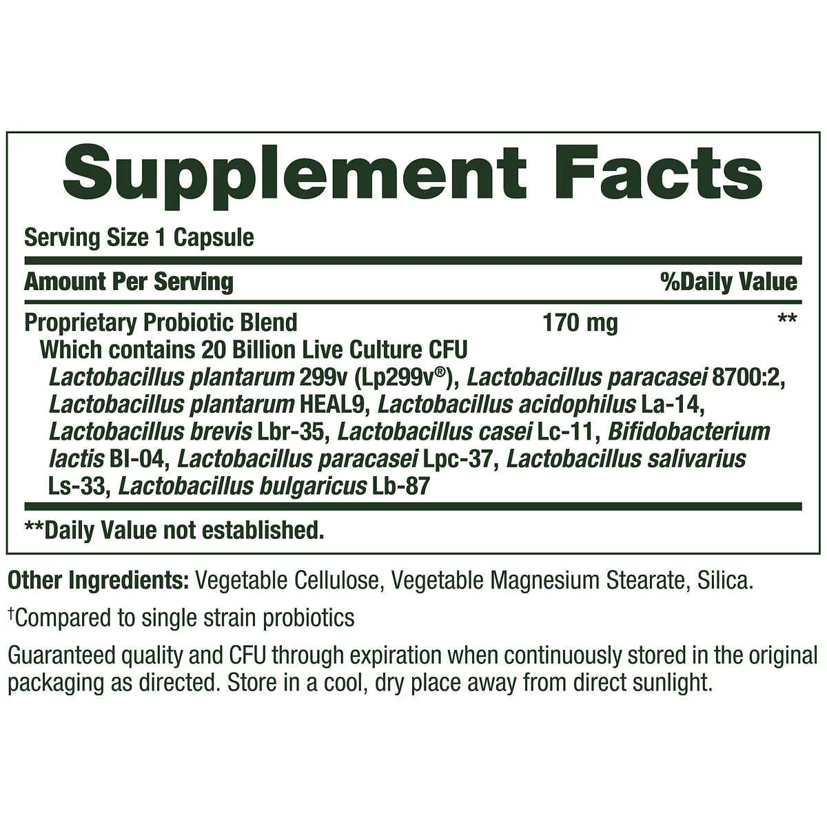 Probiotic 10