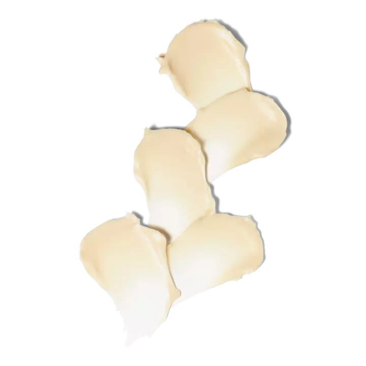 Undaria Algae Body Butter