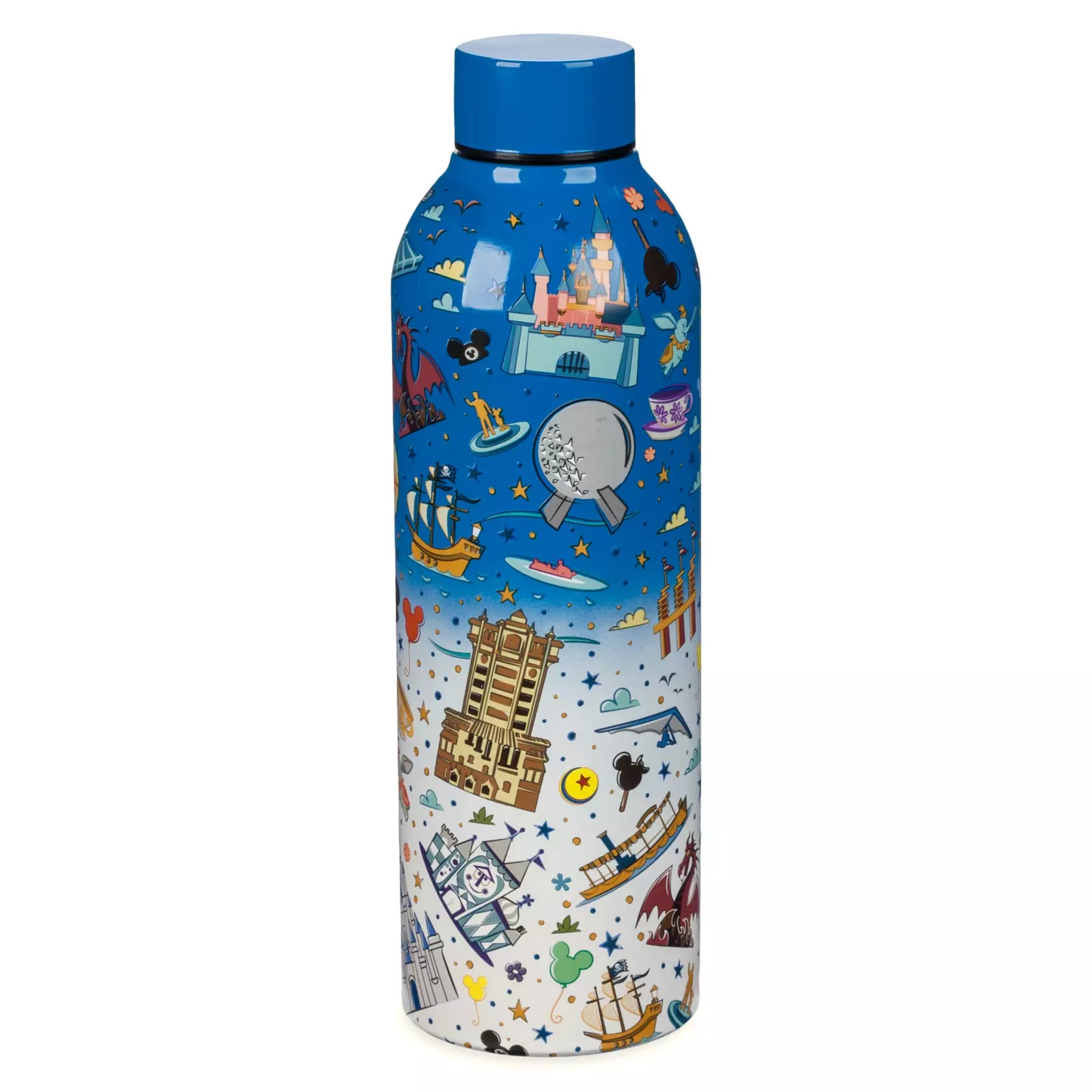 Disney Parks Stainless Steel Water Bottle