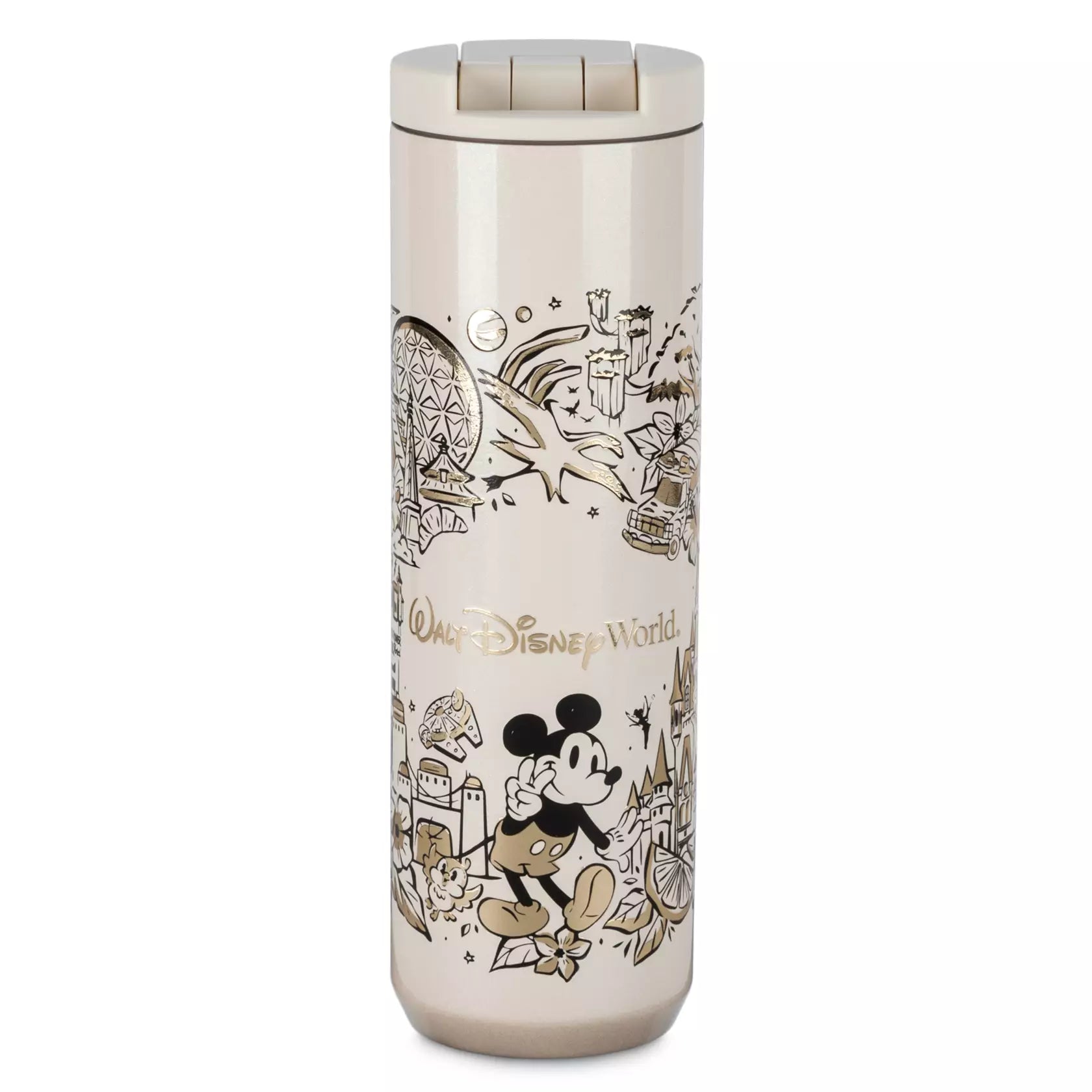 Walt Disney - World Stainless Steel Starbucks Water Bottle | Termo