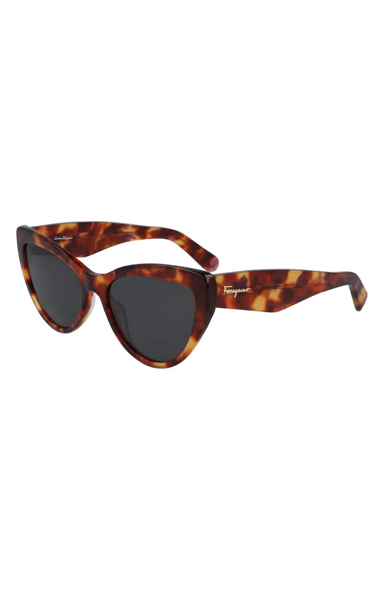 #color_FER Tortoise