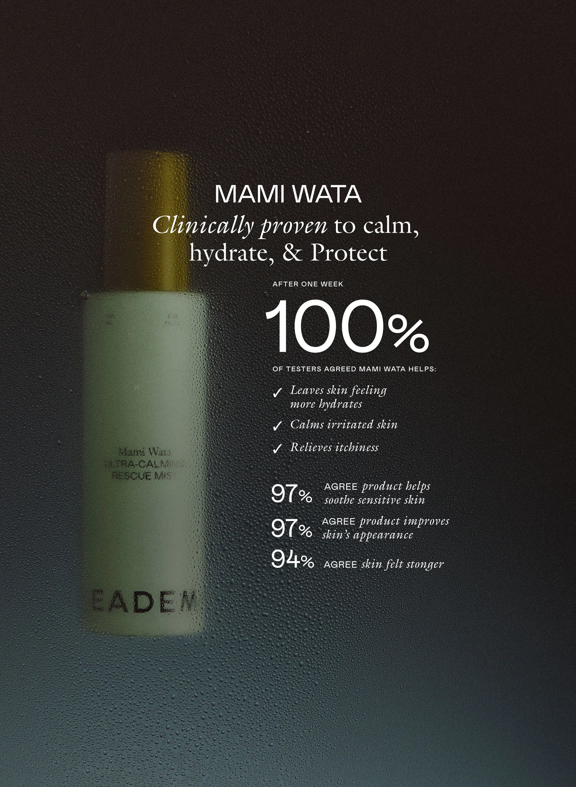 The Muse Set La Muse