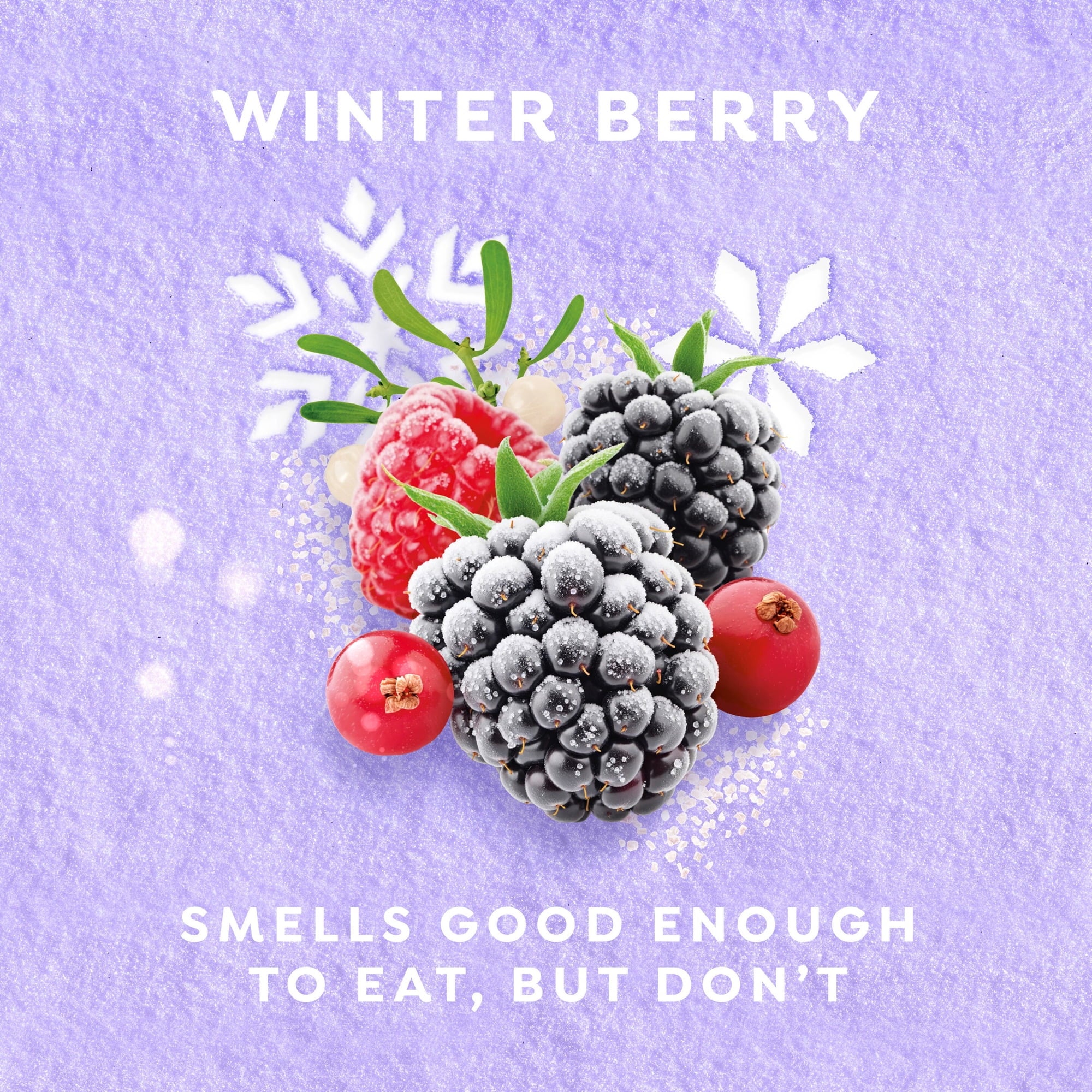 #aroma_Winter Berry