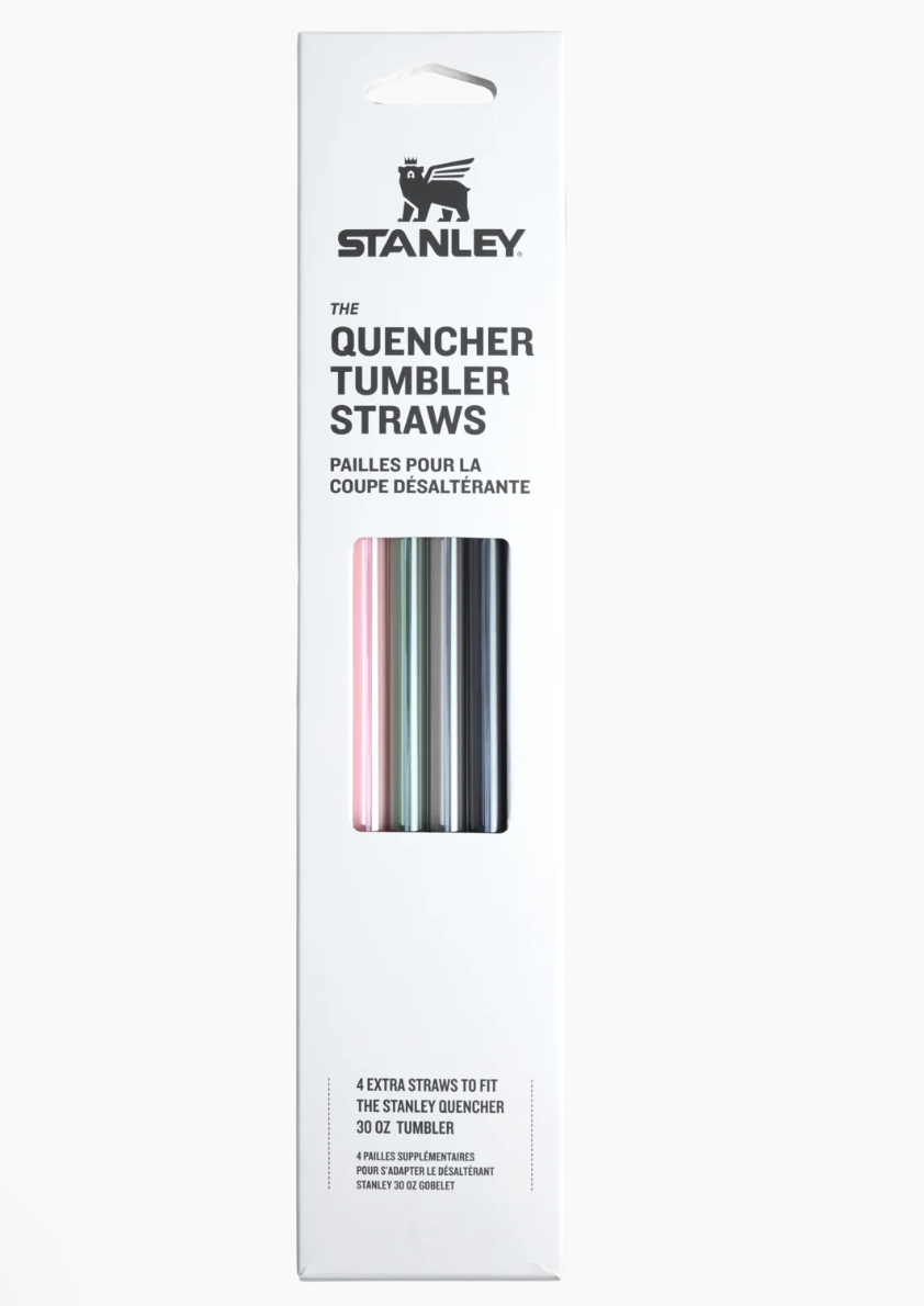Travel Tumbler Straws 4-Pack - 30 OZ