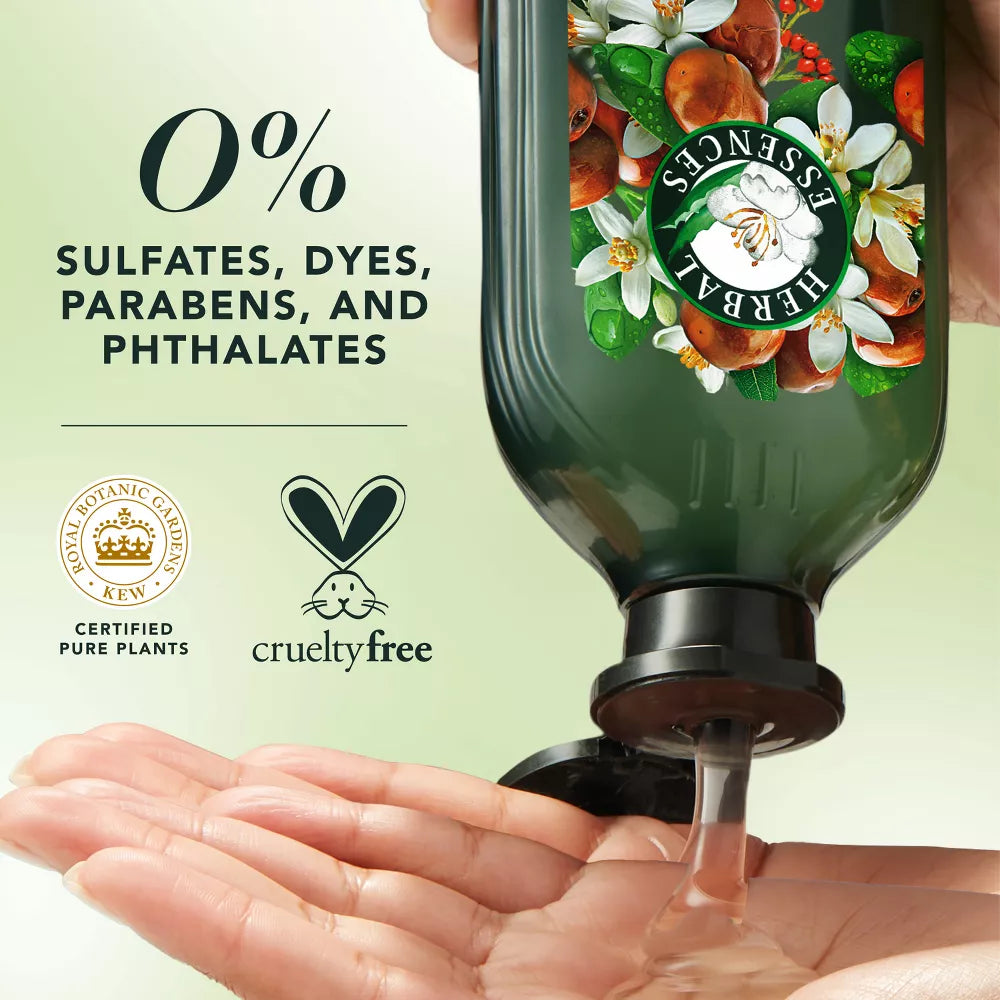 Shampoo con aceite de jojoba para cabello con frizz - Aloe vera y hierbas cítricas
