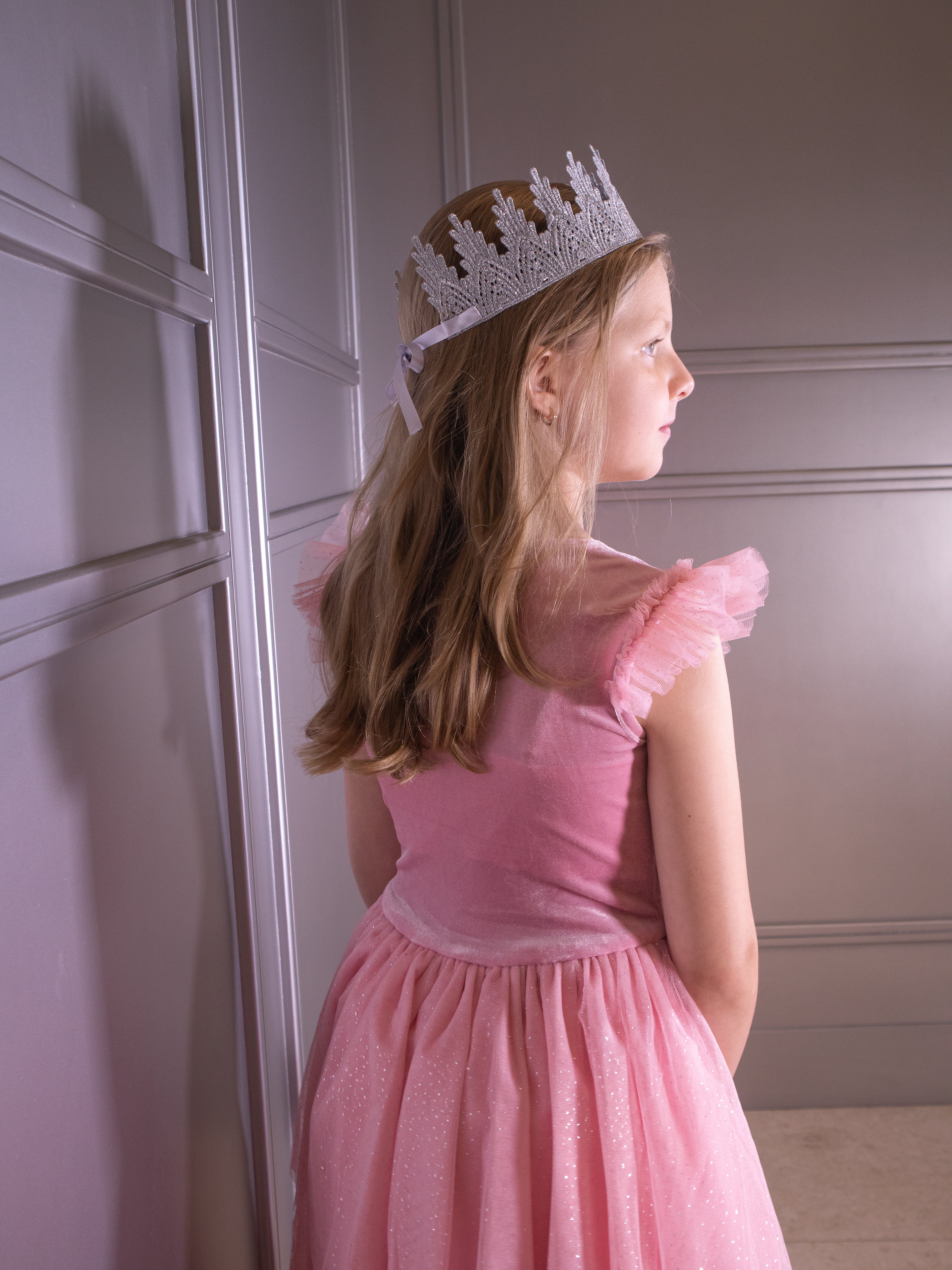 The Pink Ballgown Costume Dress