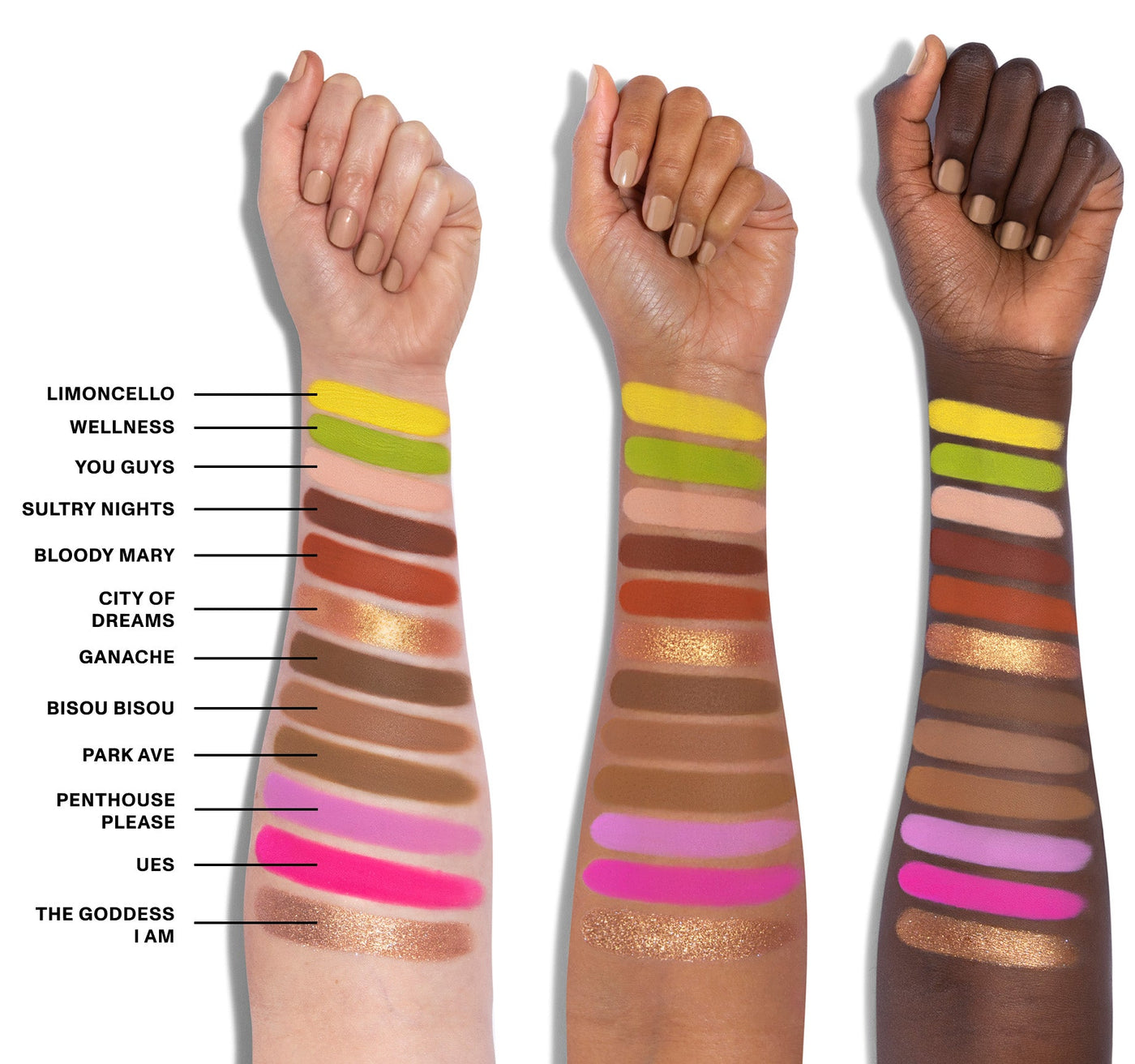 Morphe X Meredith Duxbury