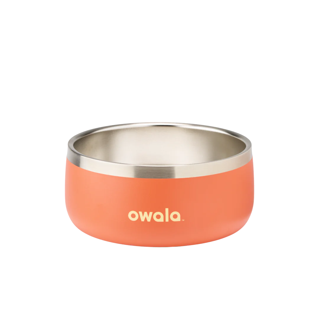 Pet Bowl