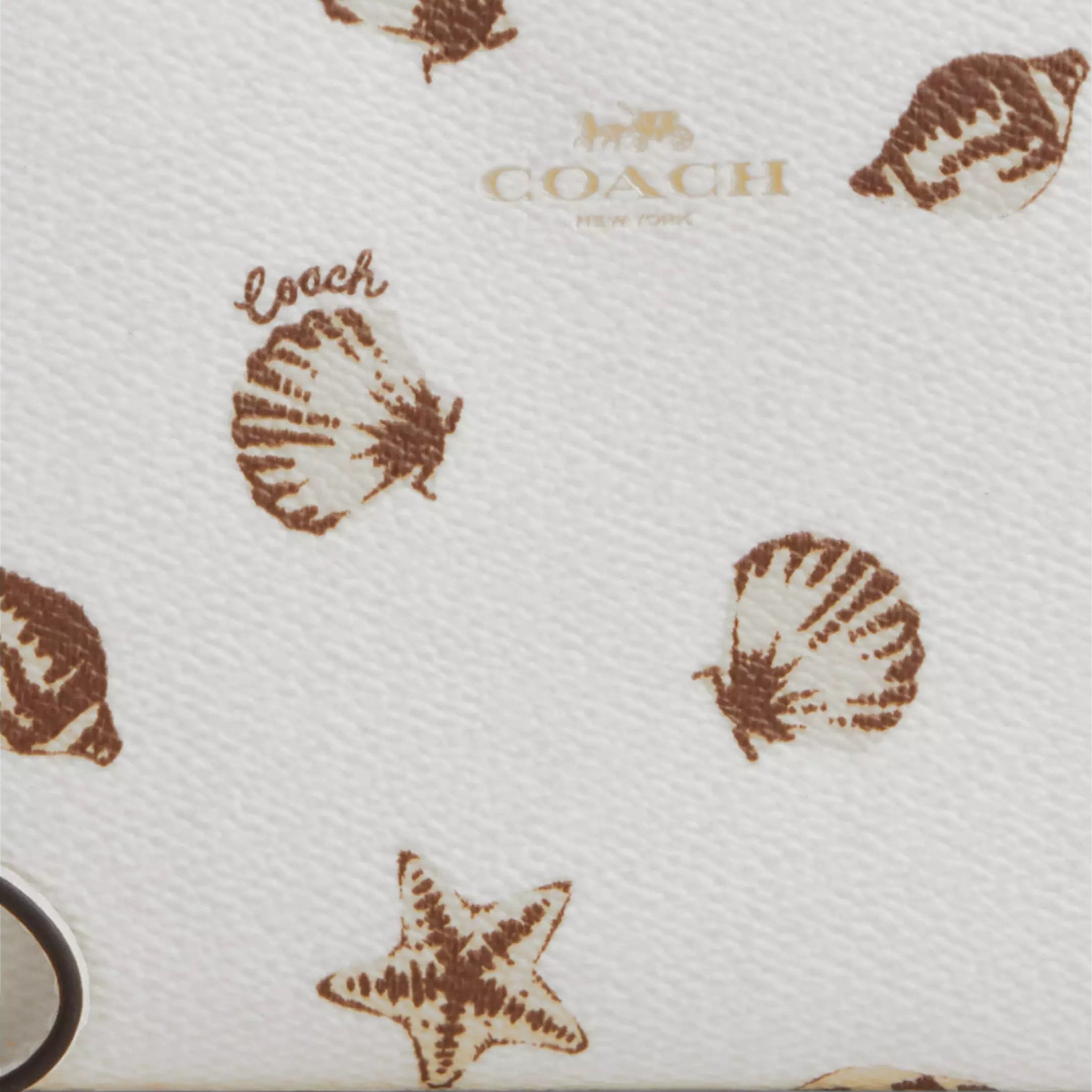 #color_CASP Gold/Chalk Multi