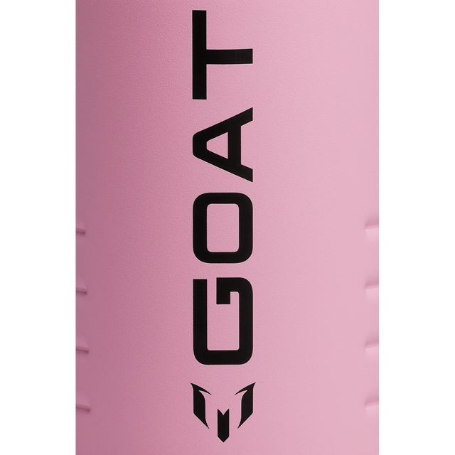 Messi x Stanley 1913 Quencher ProTour Flip Straw Tumbler