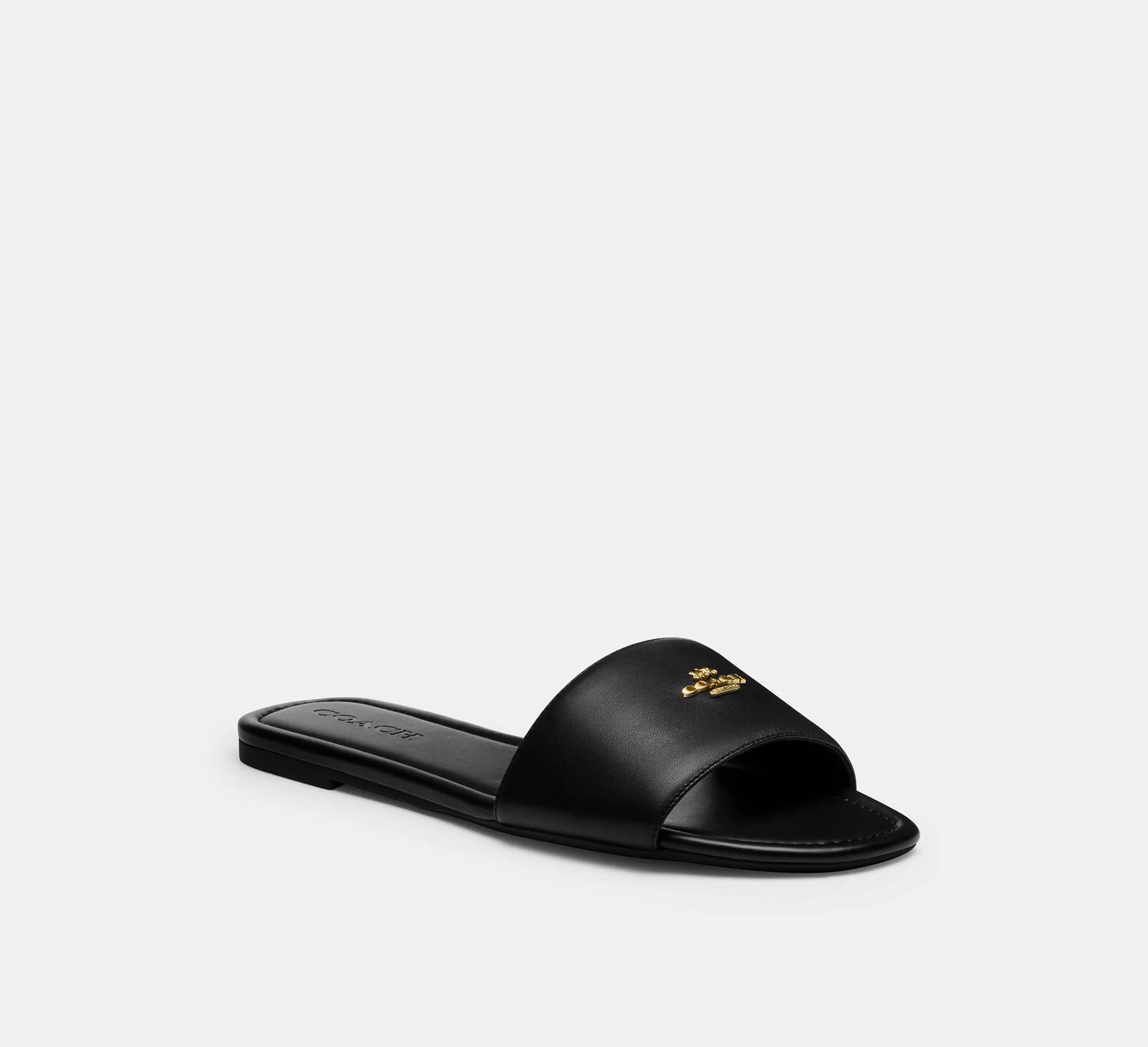 #color_CA Black