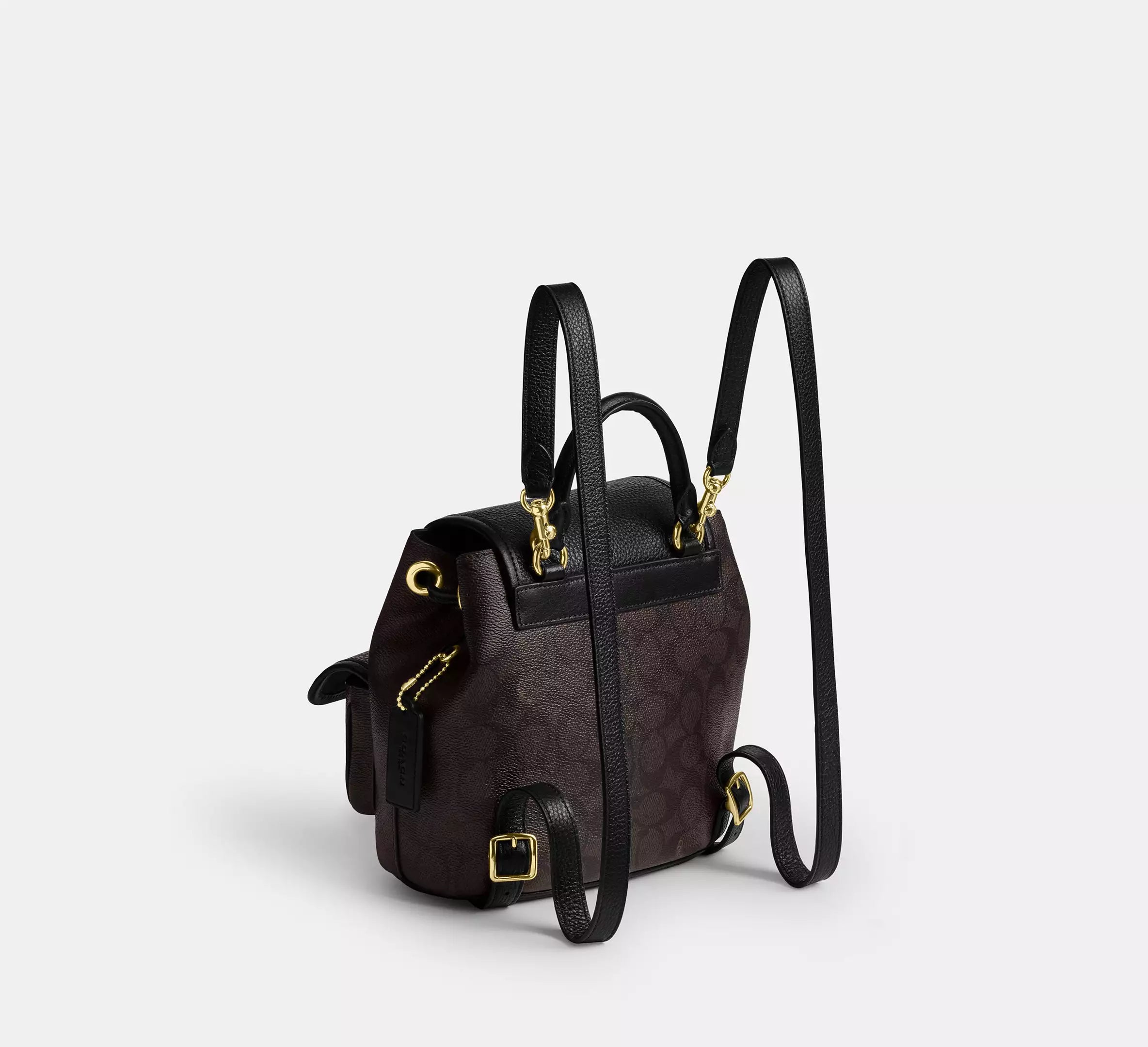 Hadley Backpack In Signature Canvas