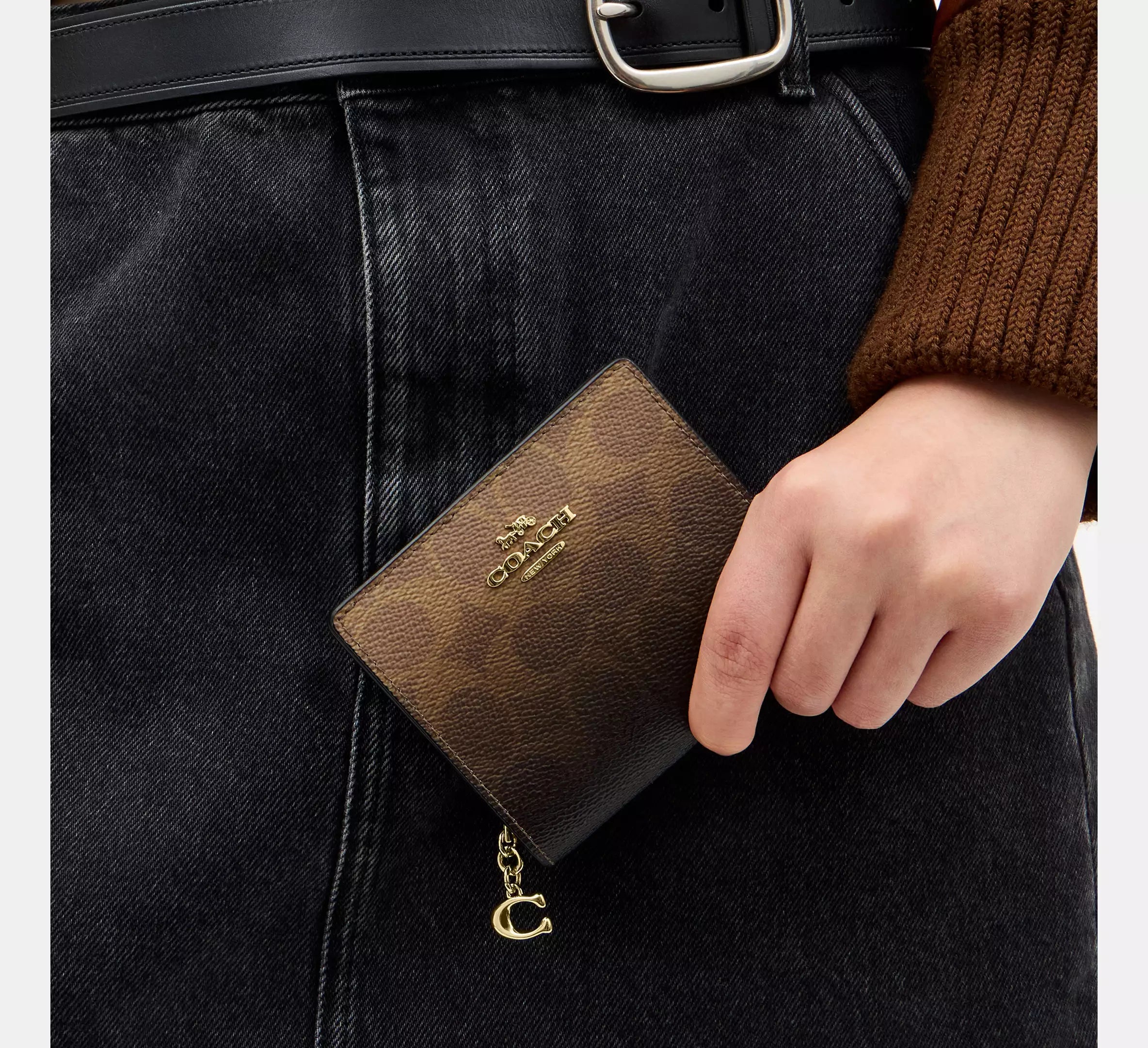 Snap Wallet In Ombre Signature Canvas