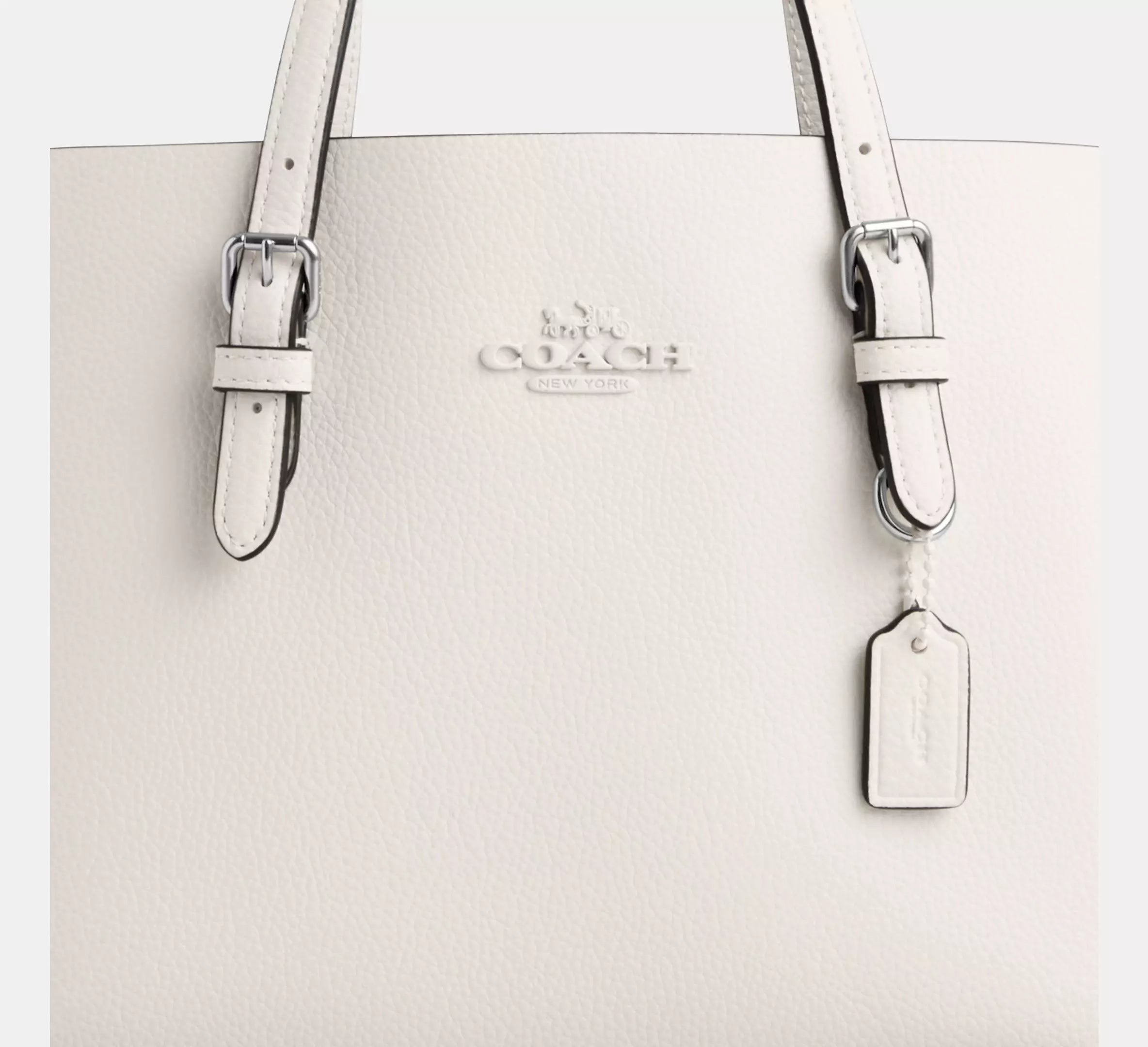 Mollie Tote Bag 25 In Signature Canvas