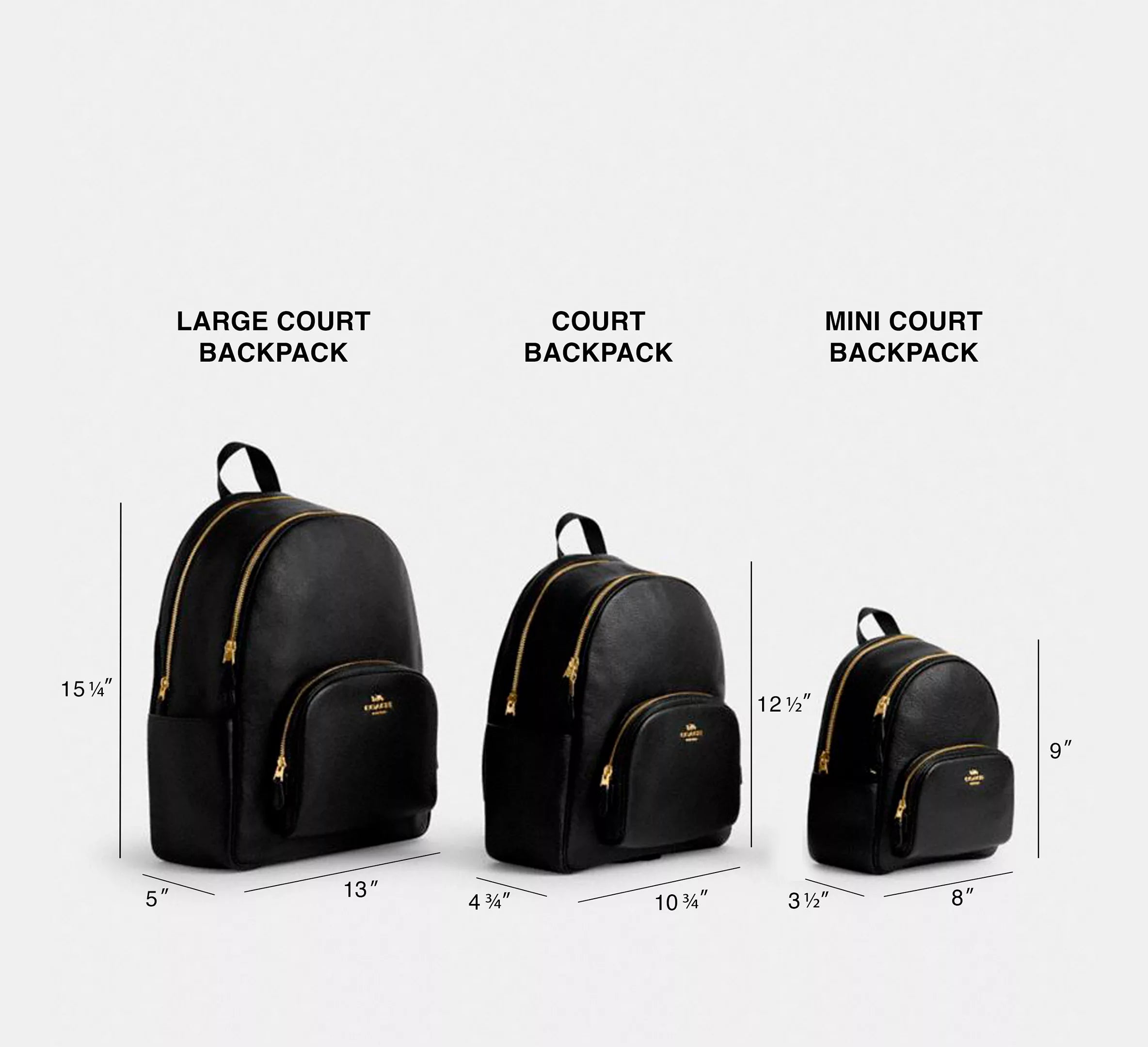 Court Backpack In Blocked Signature Canvas