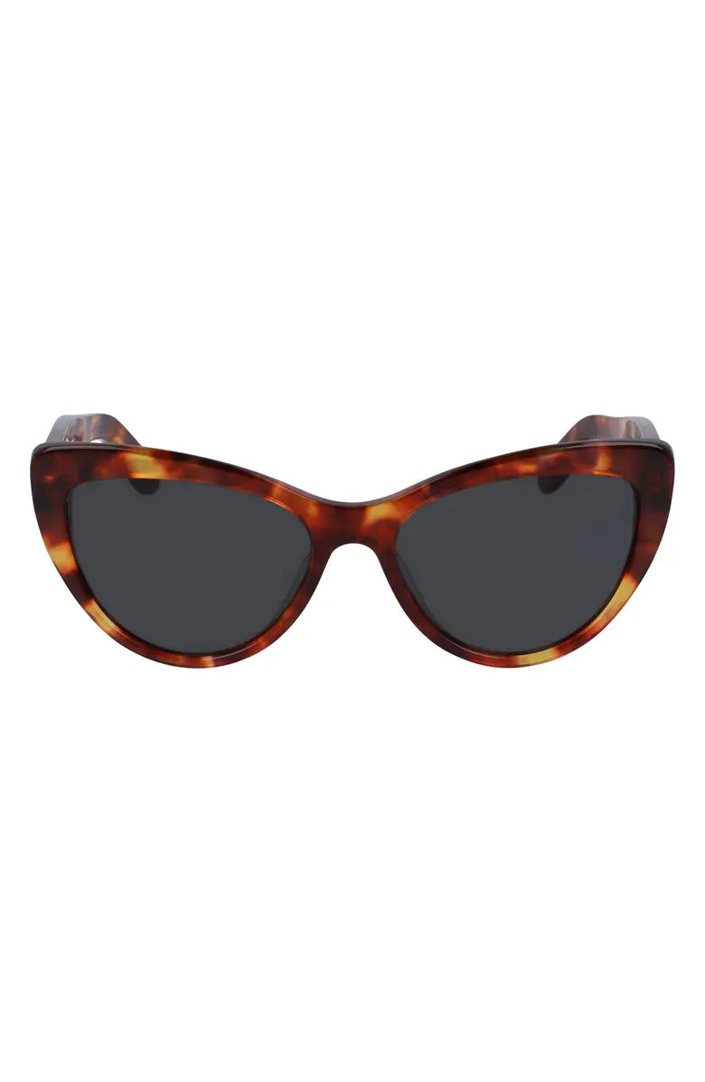 #color_FER Tortoise