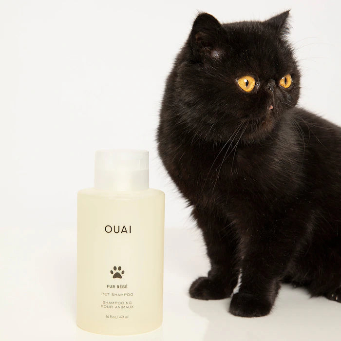 Pet Shampoo