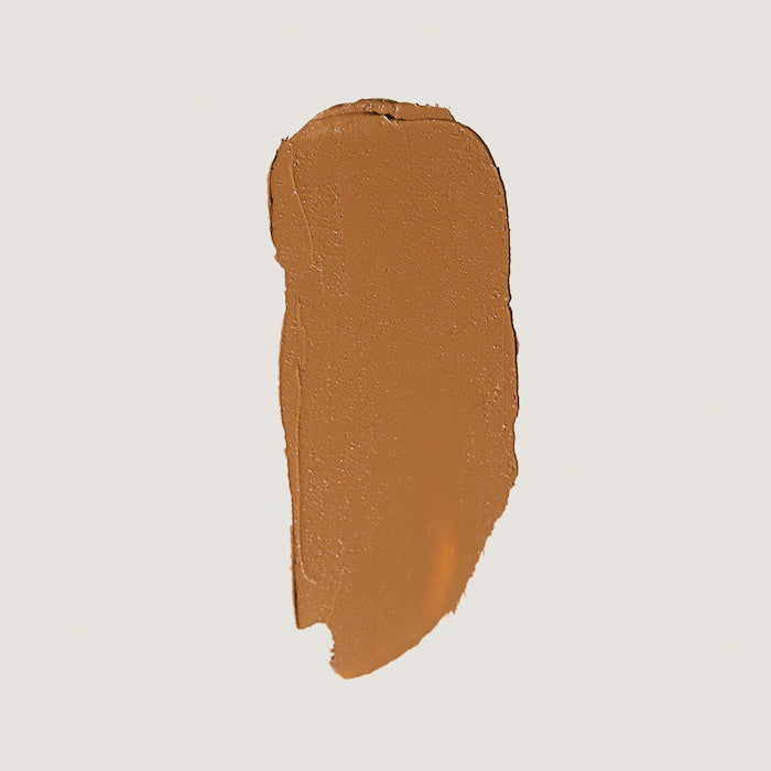 The Minimalist Perfecting Complexion Foundation and Concealer Stick