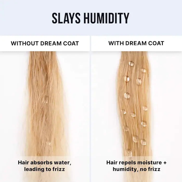 Dream Coat Iconic Frizz Fighters Hair Duo Gift Set