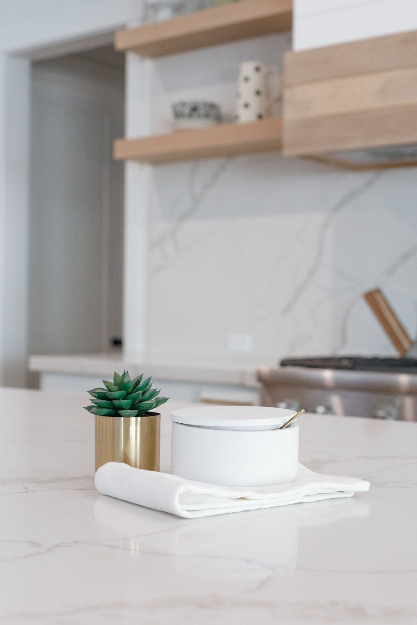 Salt Container