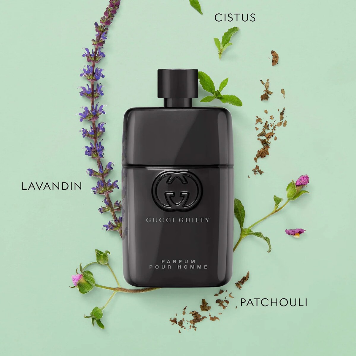 Holiday Mini Deluxe Cologne Sampler Collectors Edition - 8 fragancias + voucher - Sephora Favorites imagen 5