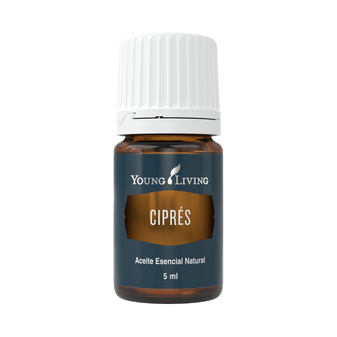 Ciprés 5 ml - Beauty Box Mérida