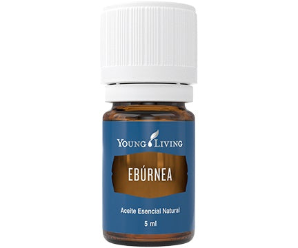 Ebúrnea 5 ml - Beauty Box Mérida