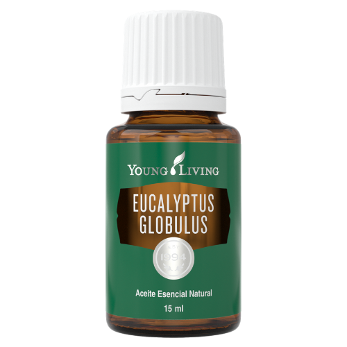 Eucalyptus Globulus 15 ml - Beauty Box Mérida