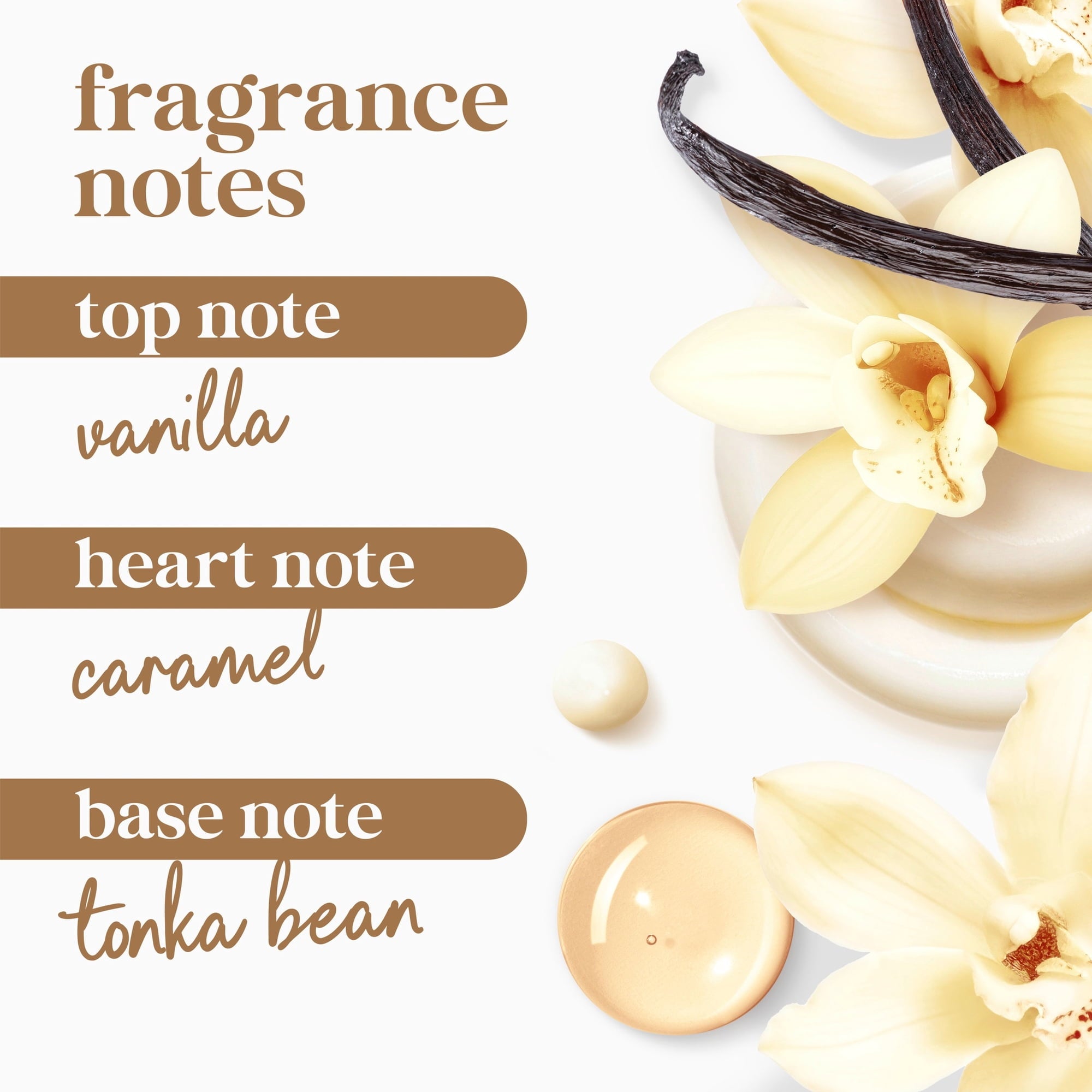 #aroma_Vanilla + Sweet Cream