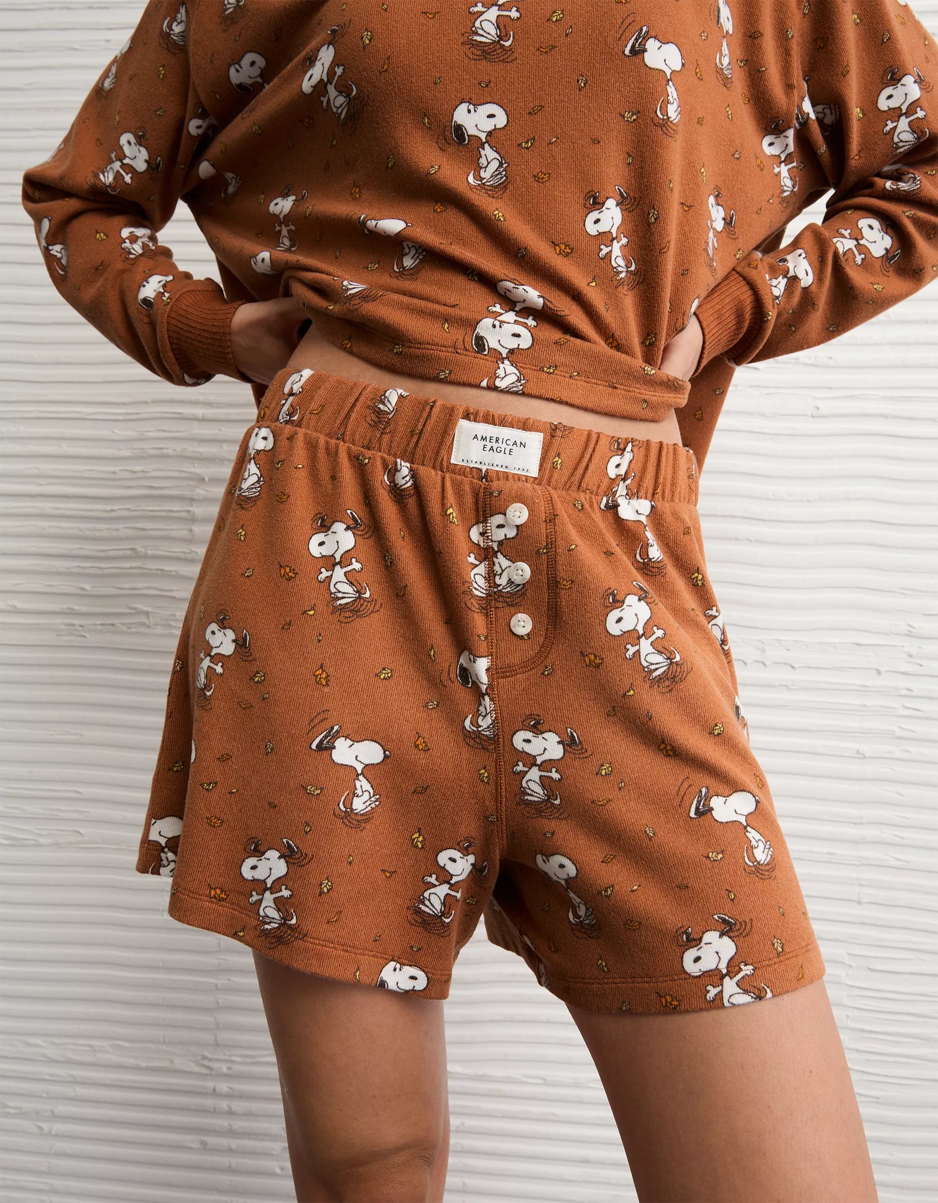 #color_AE Snoopy Amber Brown