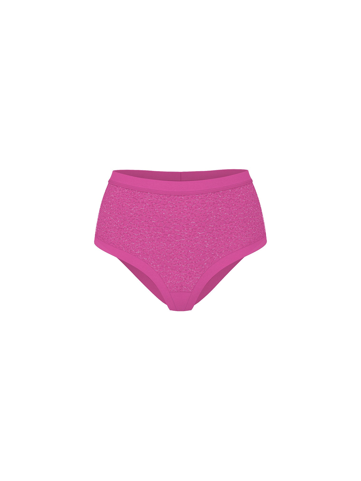 No-Show Leopard Lace Modern Brief Panty - Talla M