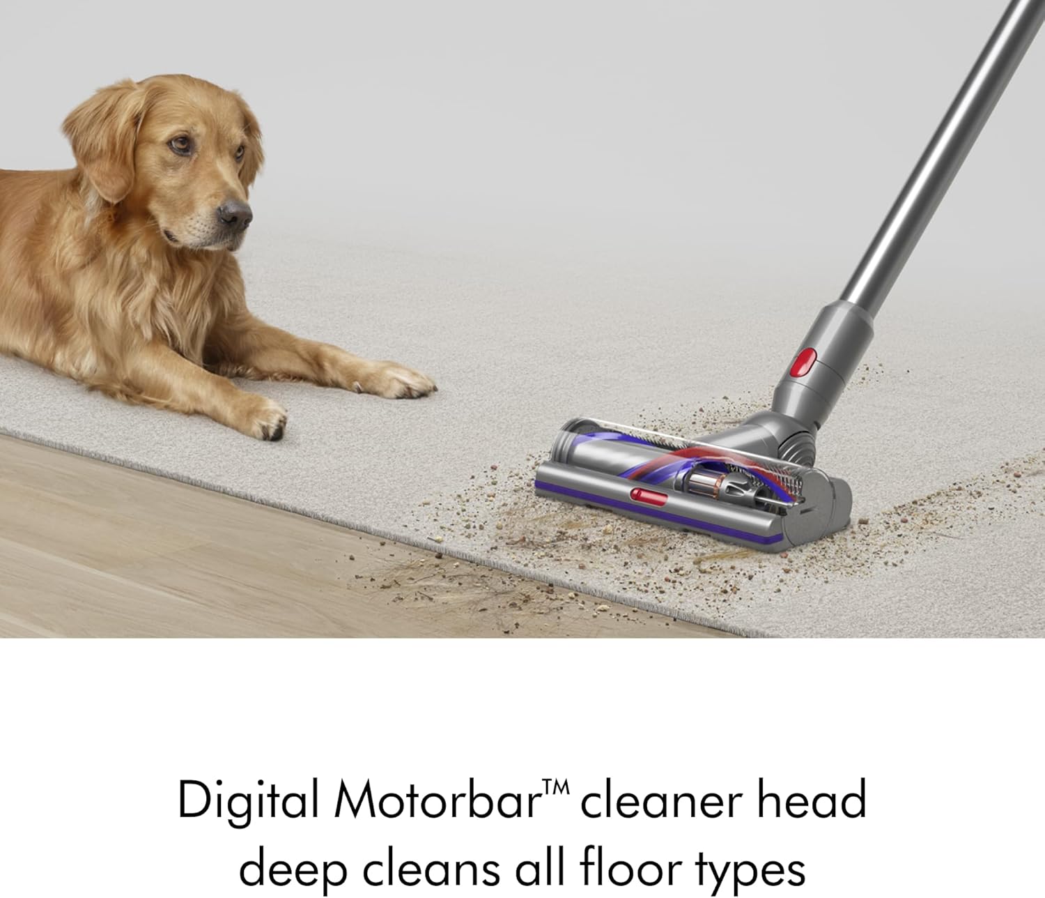 Dyson Aspiradora Inalámbrica V15 Detect Plus