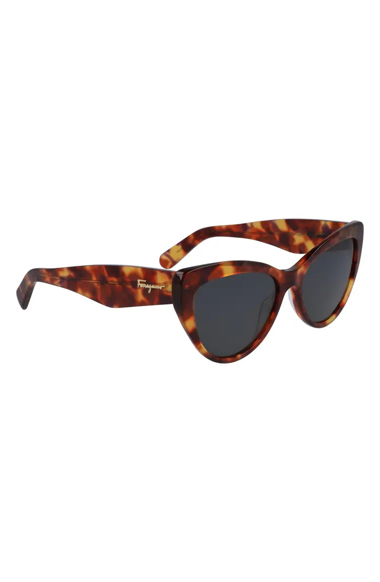 #color_FER Tortoise
