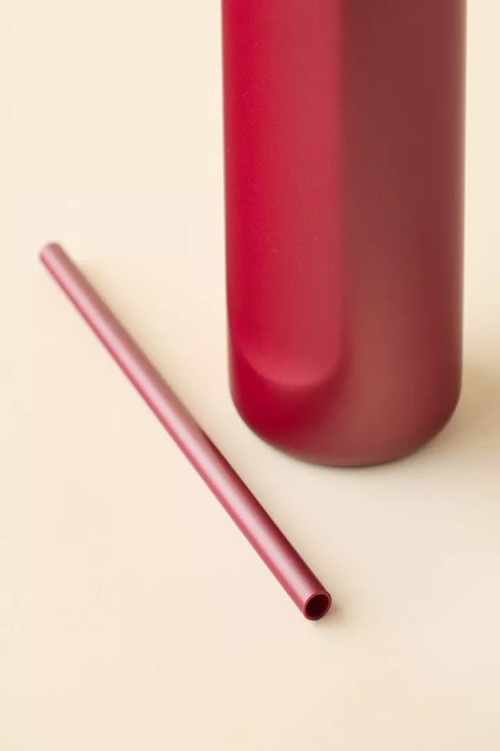 Holiday Collection FreeSip Water Bottle 24 Oz