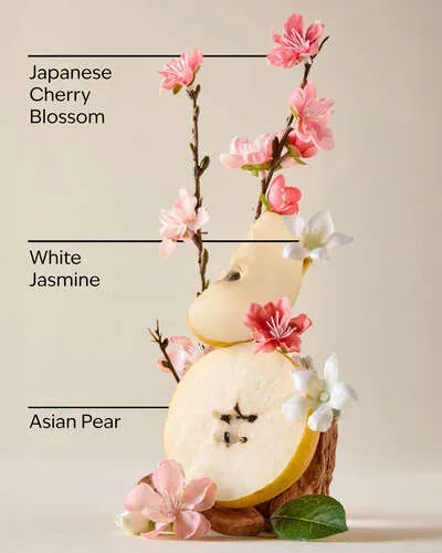 Set Japanese Cherry Blossom