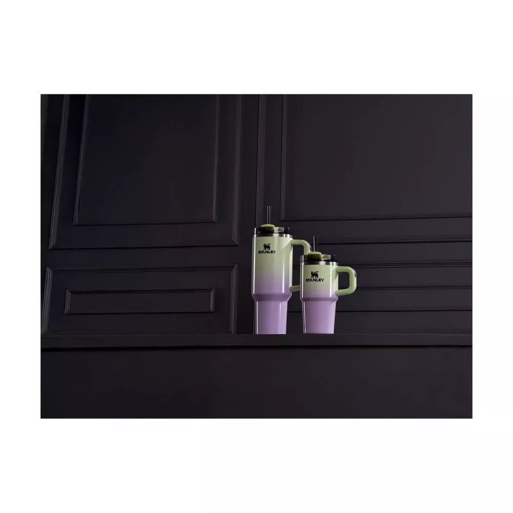 Halloween 20 oz Stainless Steel H2.0 Flowstate Quencher Tumbler