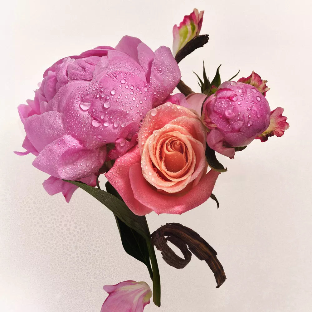 #aroma_Petal Bloom | Agua de rosas - Pétalos de peonía y Lichi
