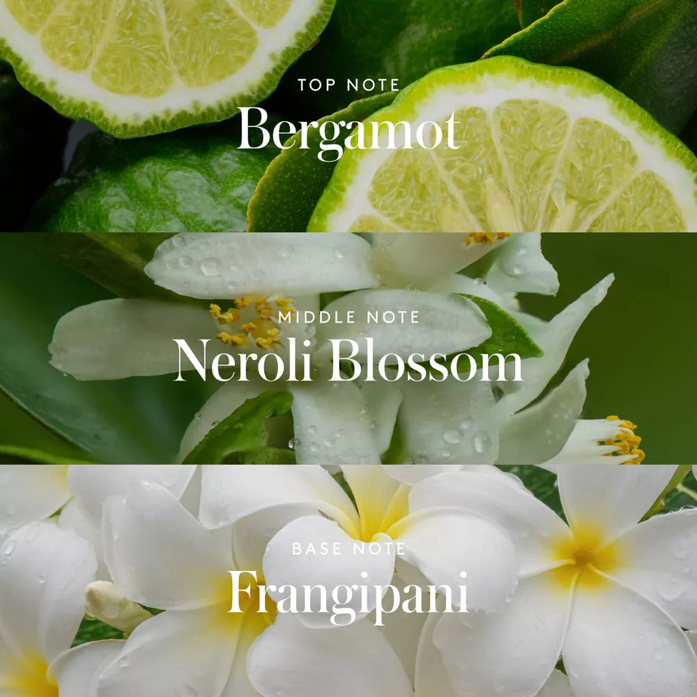 #aroma_Solar Muse | Bergamota - Flor de Neroli y Frangipani