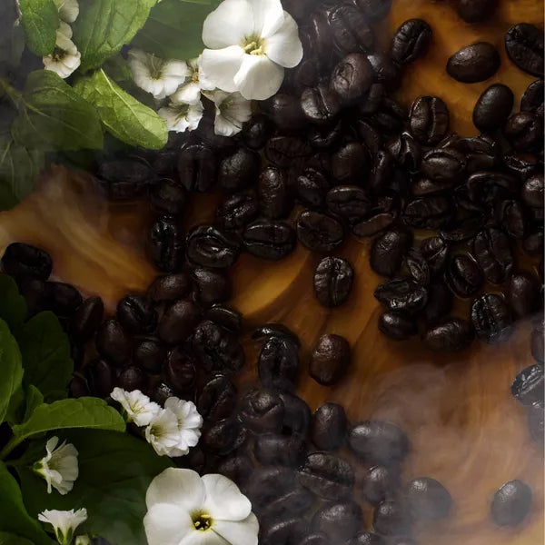 Body Mist - Midnight Cafe