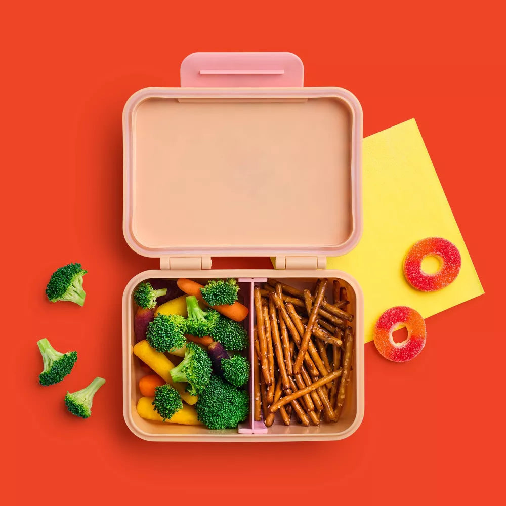 Snack Bento Lunch Box