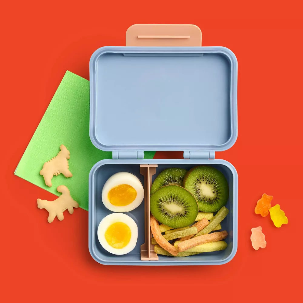 Snack Bento Lunch Box