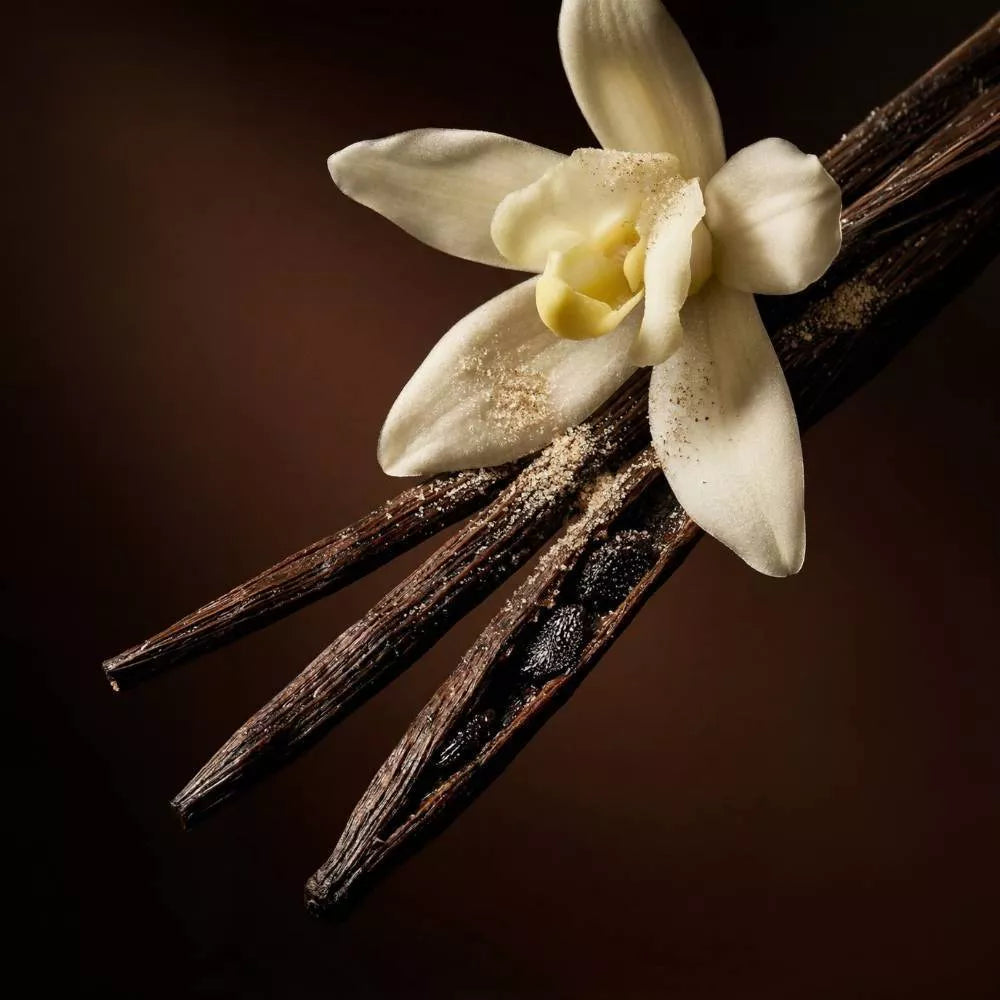#Aroma_Fleur De Vanille
