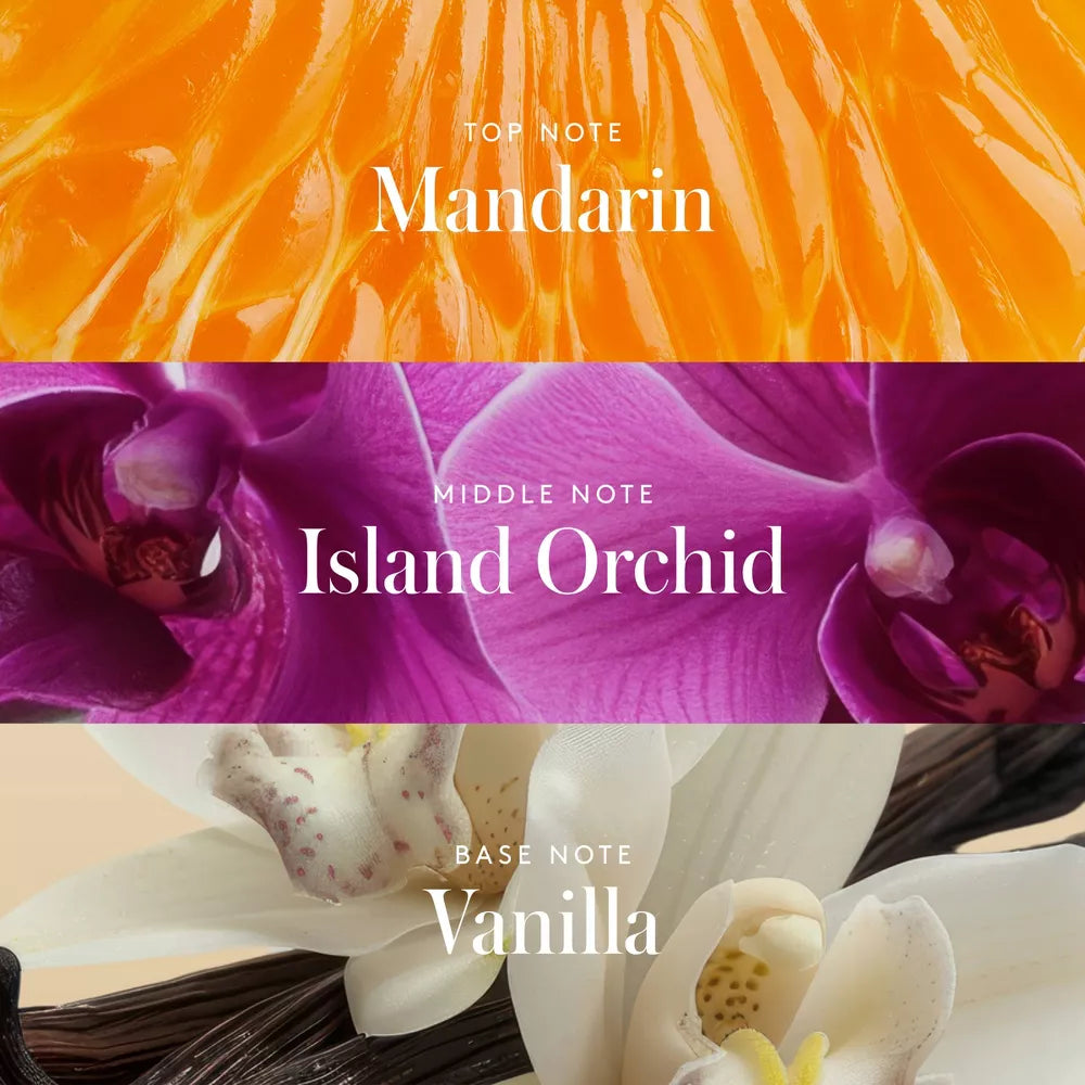 #aroma_Super Pink | Mandarina - Orquídea de la isla y Vainilla
