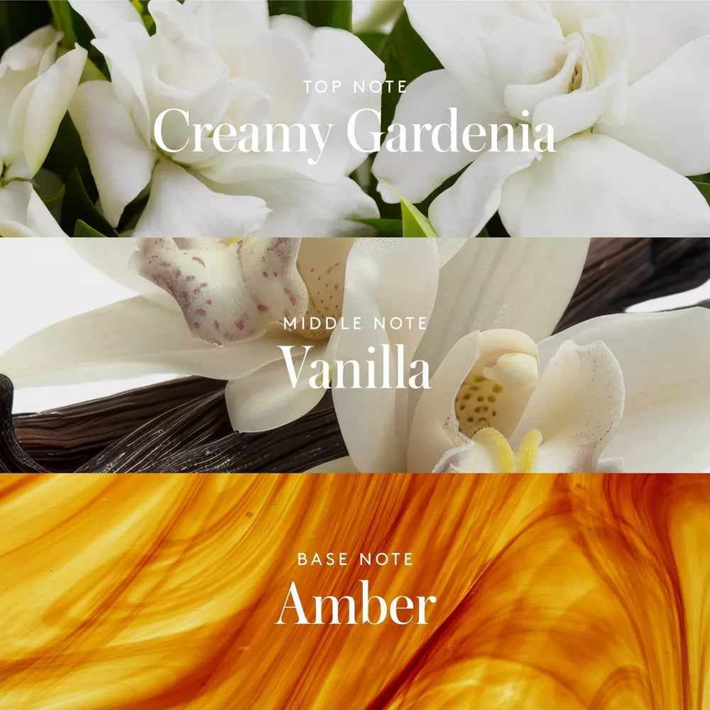 #aroma_Amber Hours | Gardenia cremosa - Vainilla y Ámbar