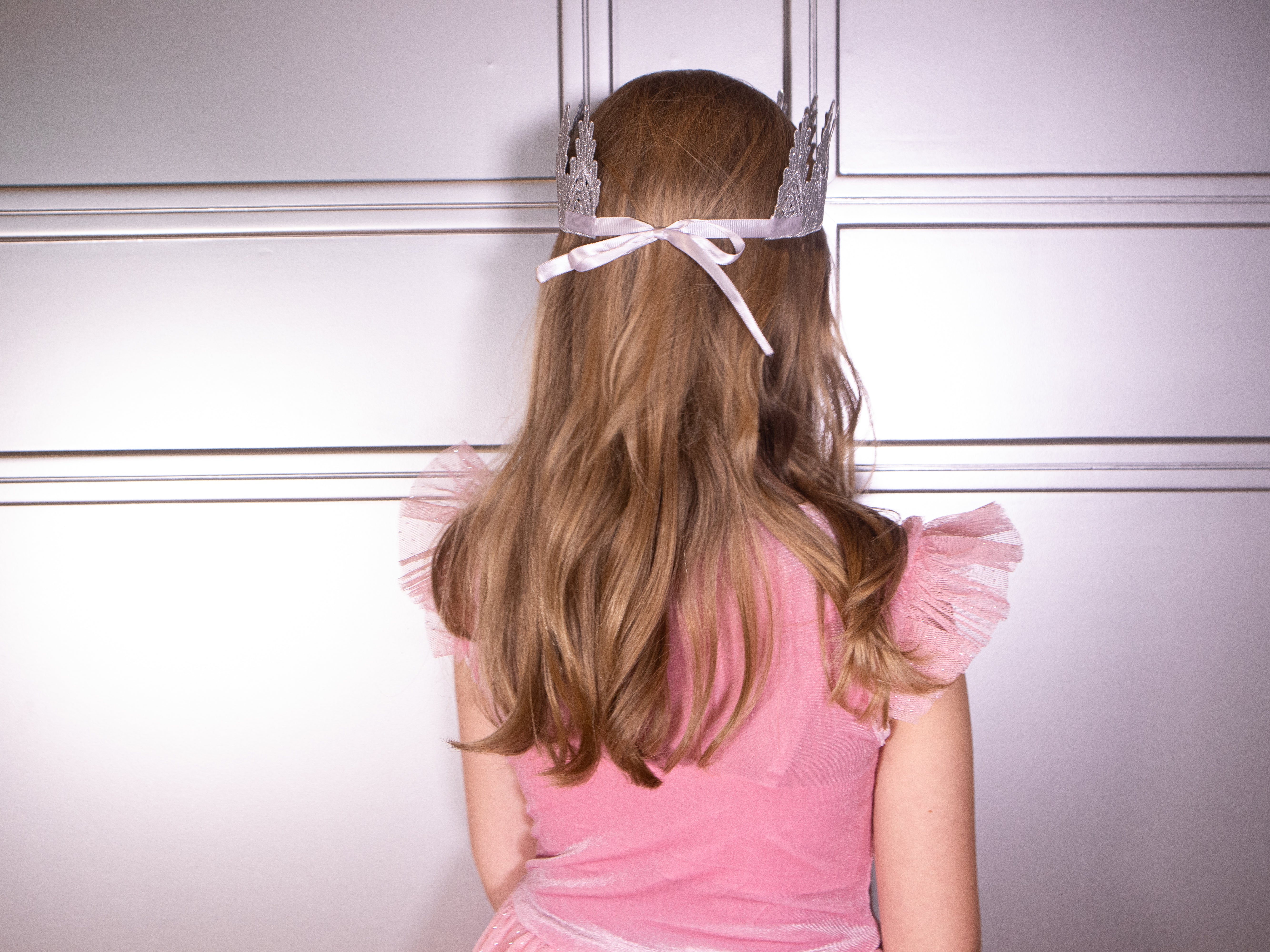 The Pink Ballgown Costume Dress