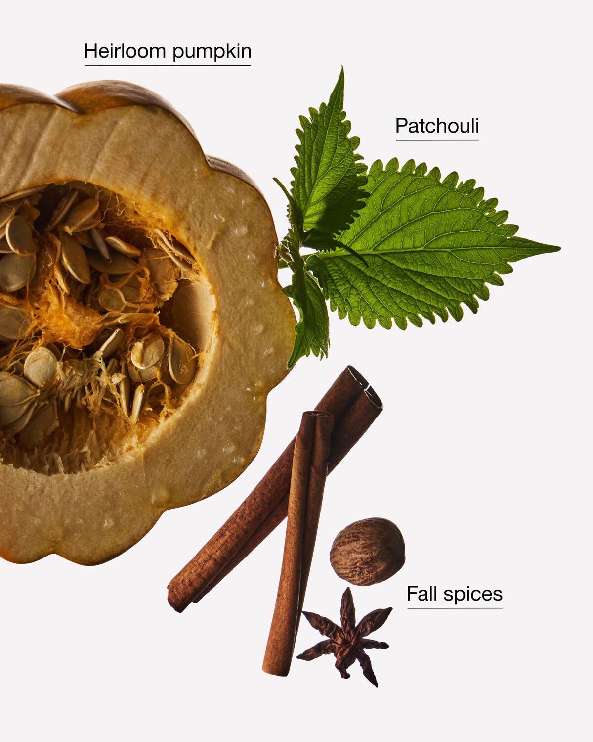Composición de calabaza y especias que ilustra el aroma de Farmhouse Pumpkin & Spice