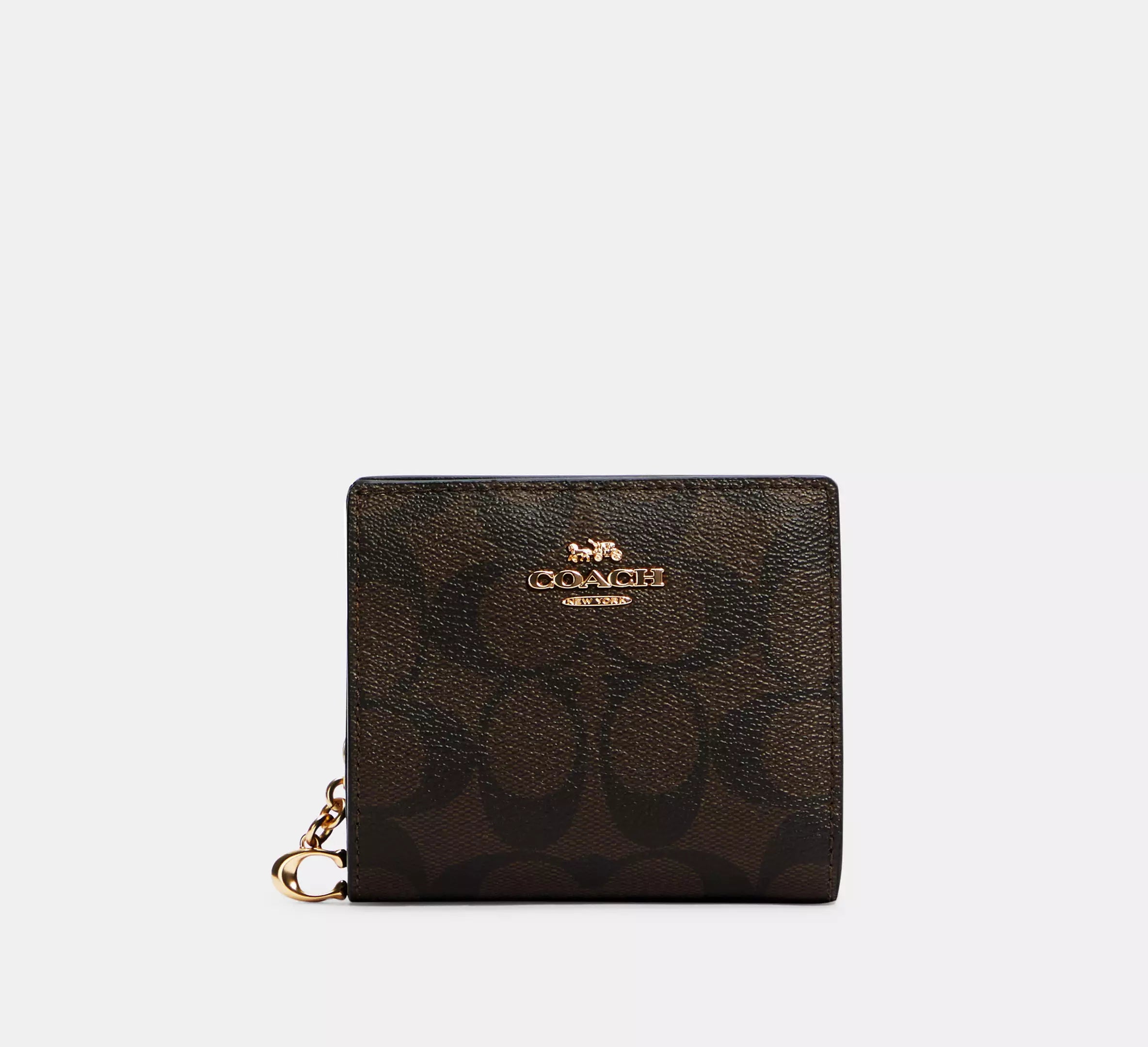 Snap Wallet In Signature Canvas