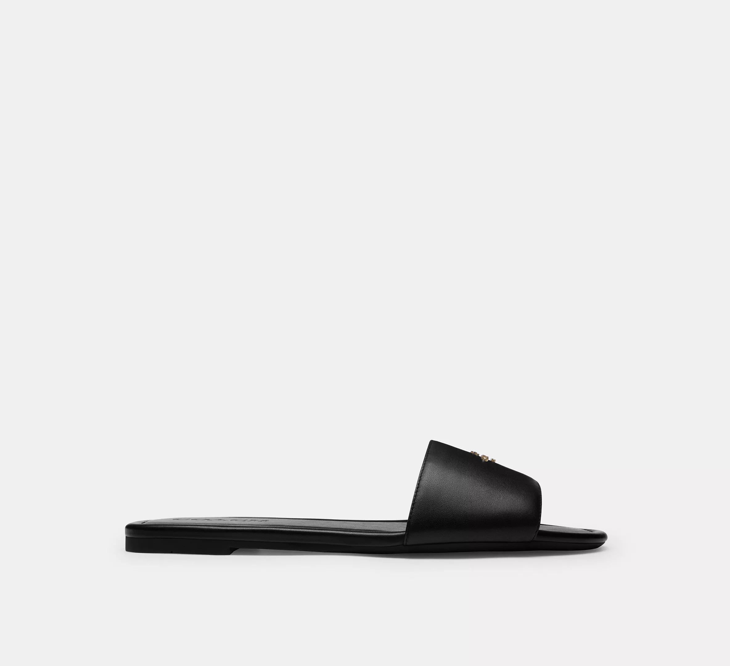 #color_CA Black
