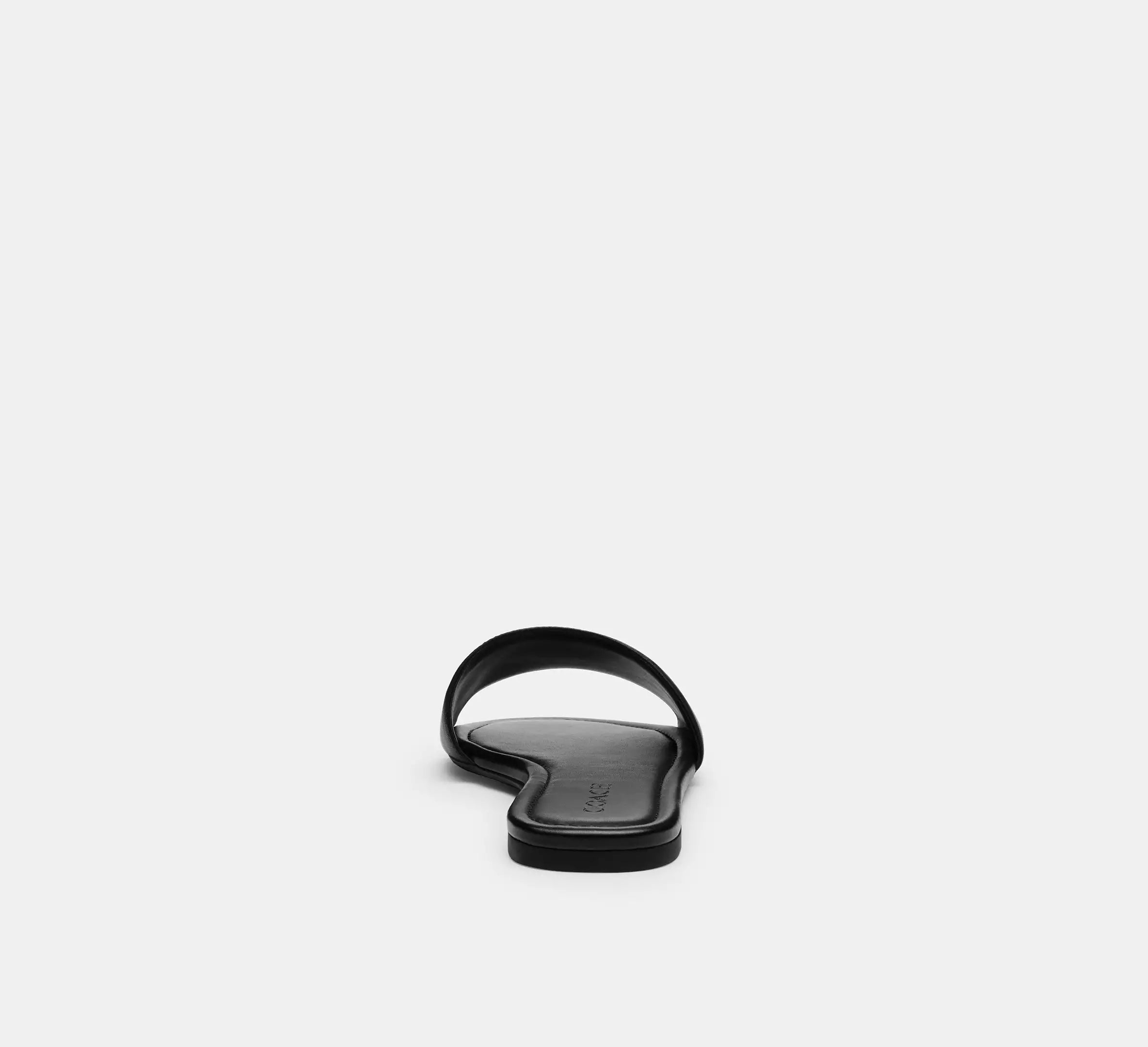 #color_CA Black