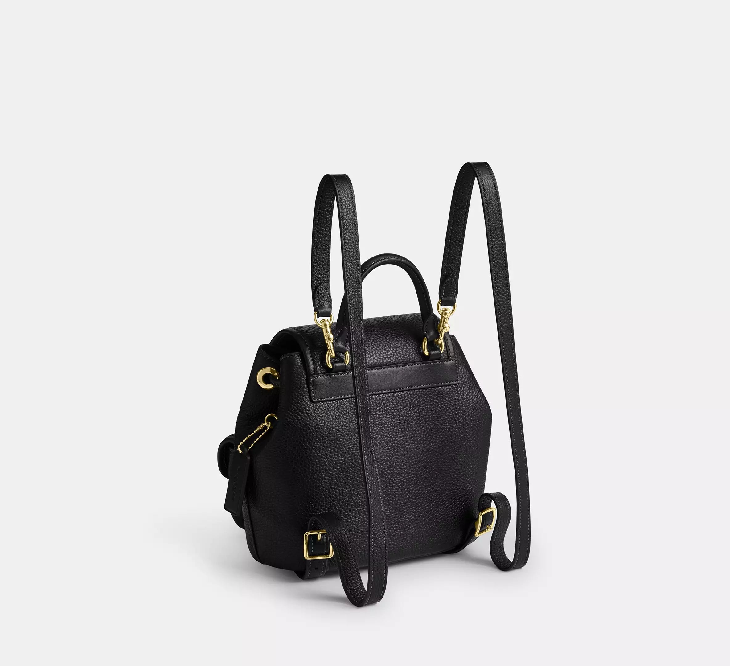 #color_CA Gold/Black